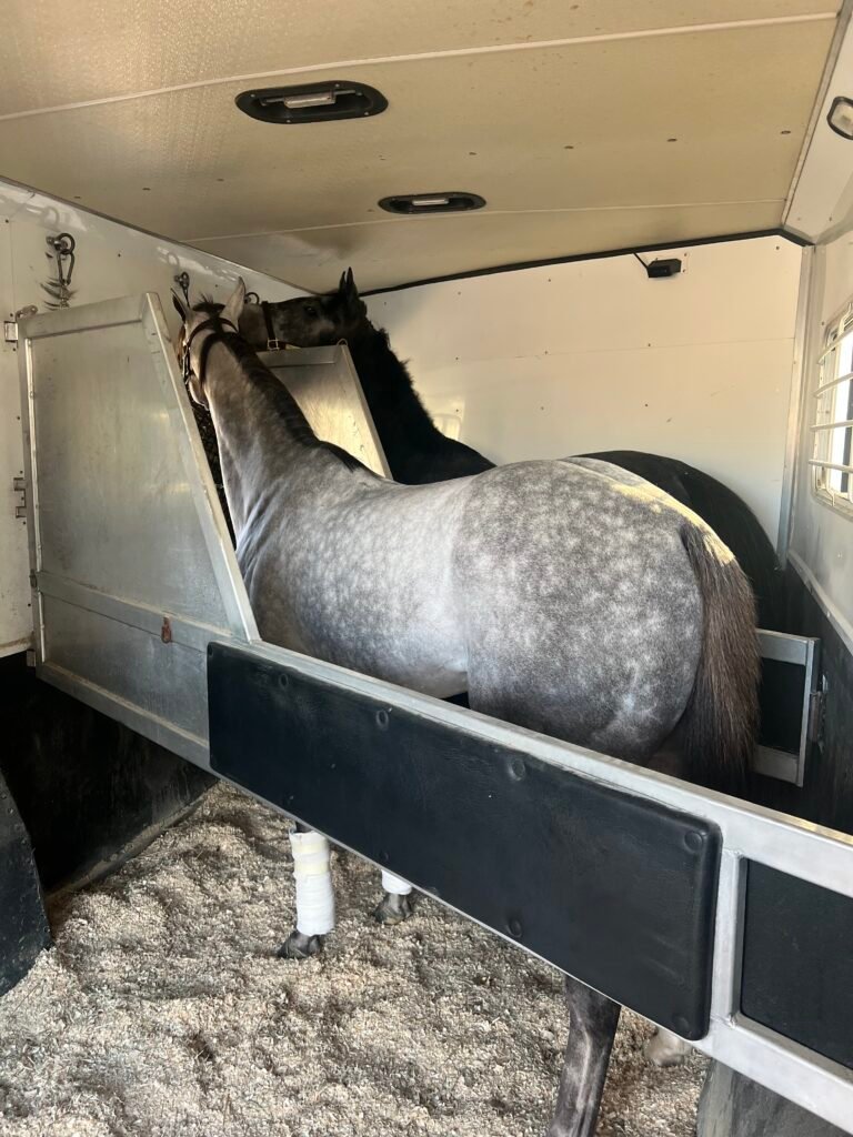 Roomy Slant Stalls